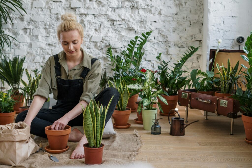 small spaces gardening